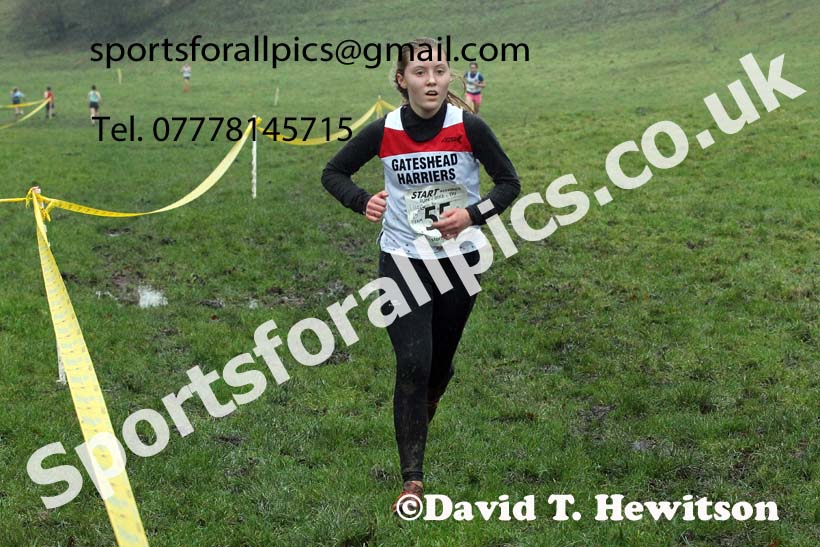 Girls under-15s, NECAA Junior Cross Country Relays, Thornley Farm, Peterlee, Saturday, December 12th. Photo: David T. Hewitson/Sports for All Pics